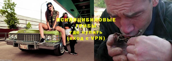 дурь Михайловка