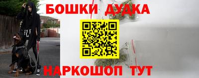 скорость Будённовск