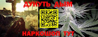 индика Азнакаево