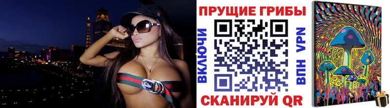 магазин    Сыктывкар  МЕГА зеркало  Псилоцибиновые грибы мицелий 