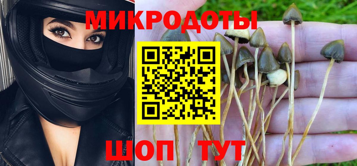 как найти   Галлюциногенные грибы Magic Shrooms  Сыктывкар  Вход с VPN  Галлюциногенные грибы ЛСД 