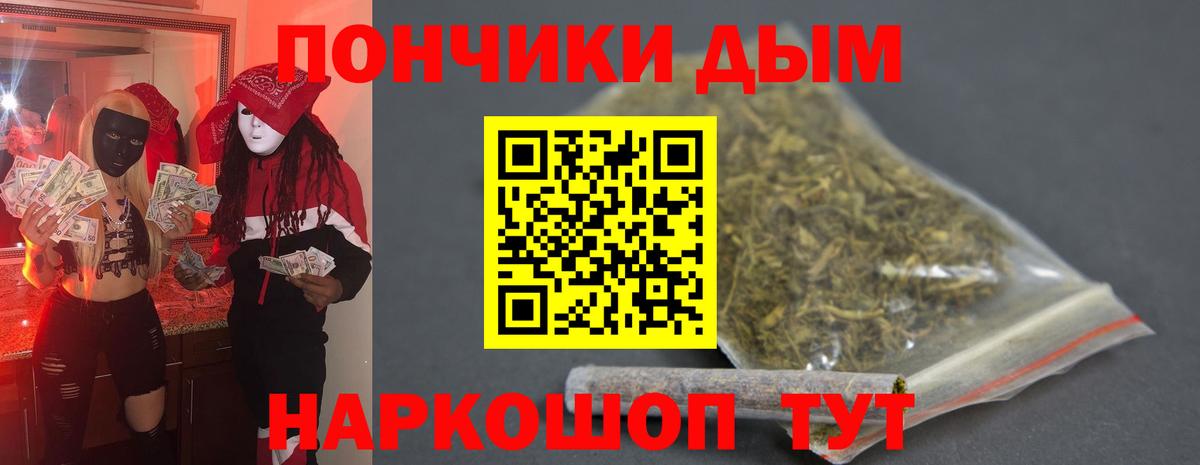 МАРИХУАНА сатива Сыктывкар